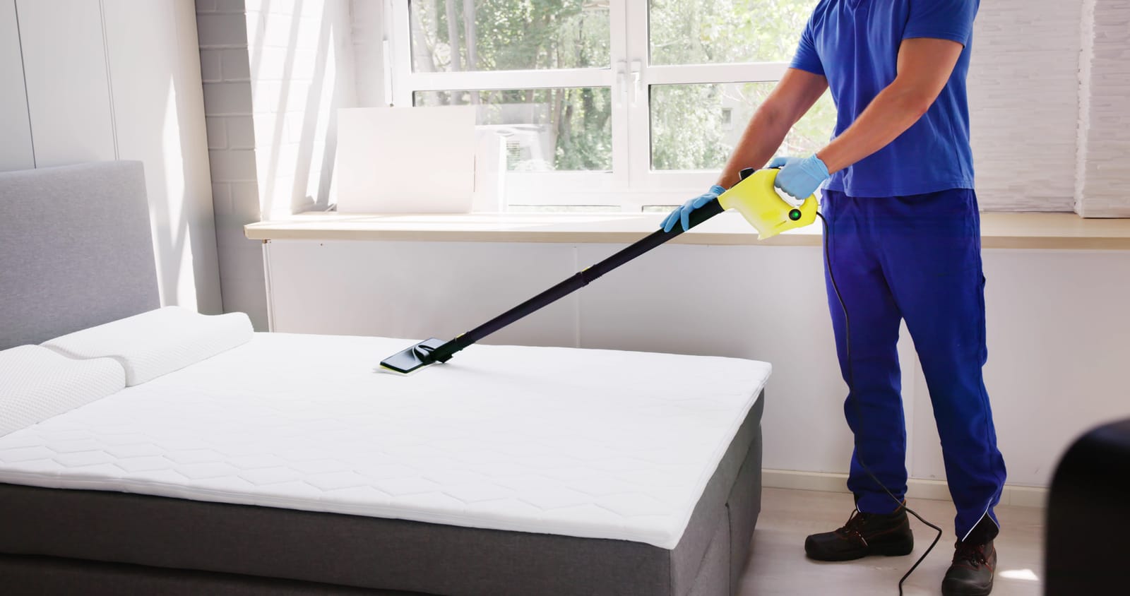 How Long Do Bed Bugs Live? Oklahoma Pest Control Guide