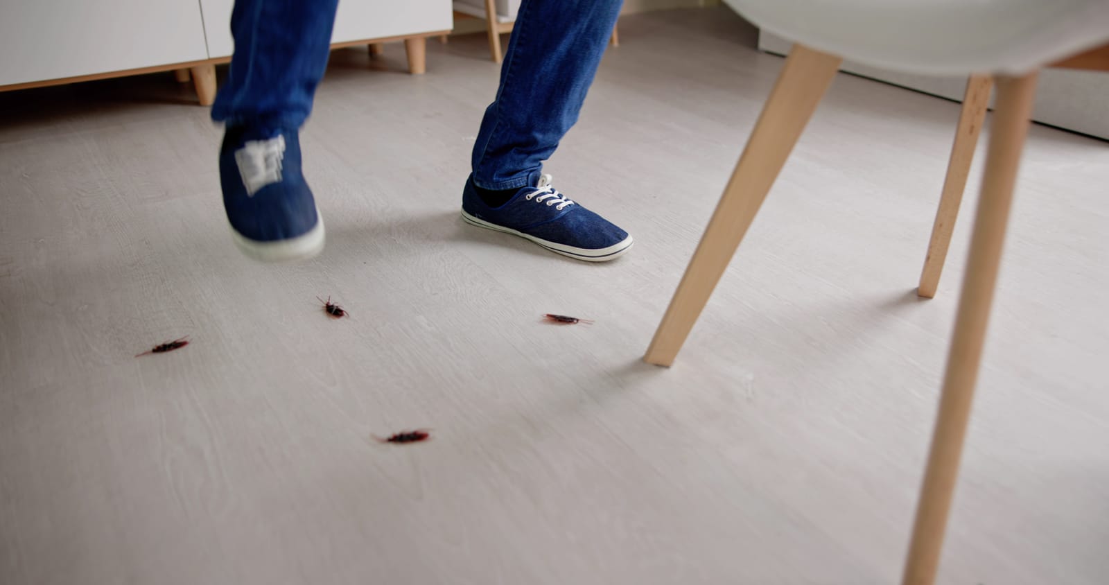 Roach Droppings in Oklahoma: A Homeowner's Guide